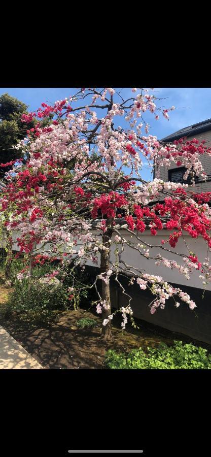 東洋の家-26 Square Meter Treadmi Garden House Lejlighed Tokyo Eksteriør billede